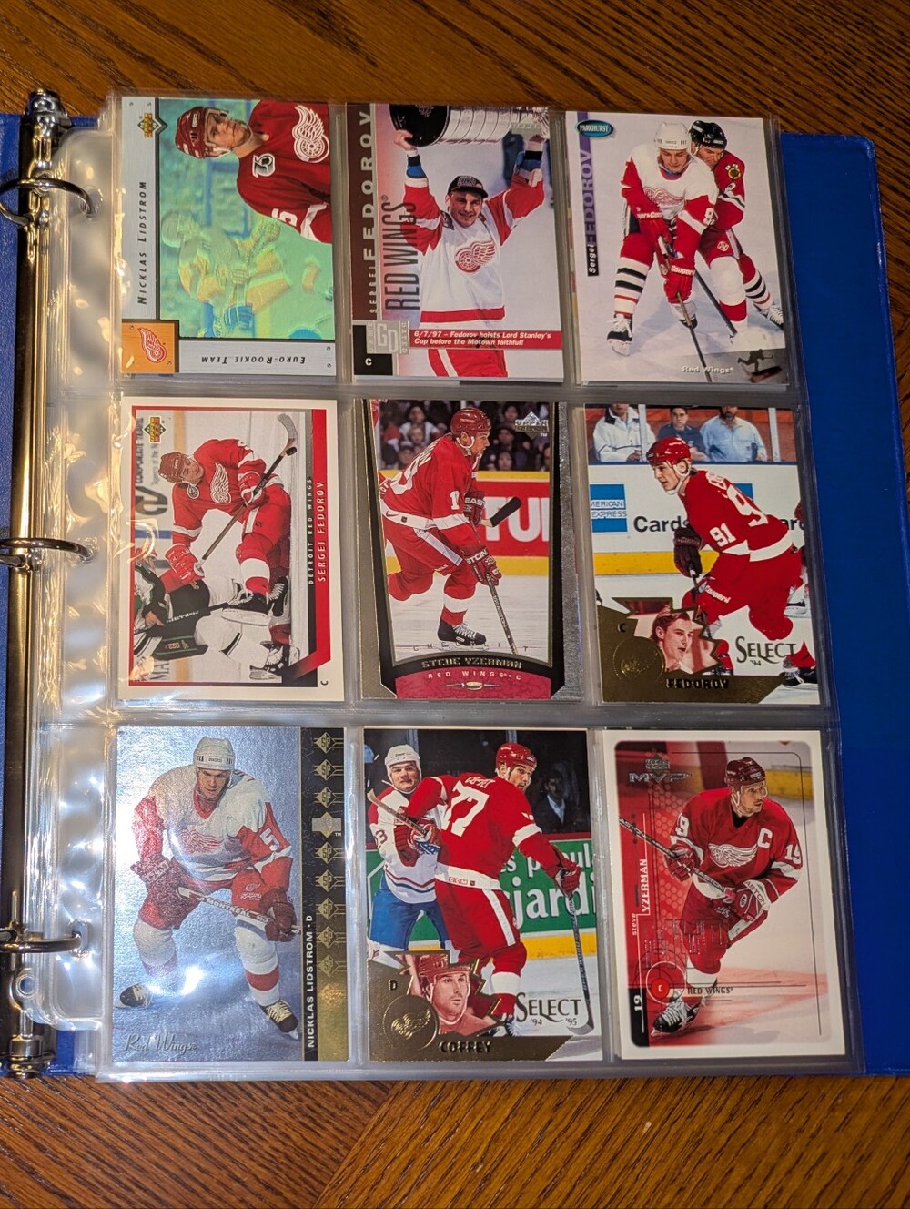 NHL Hockey Cards Binder 🔥 NHL Hockey Trading Cards Collection Lot 🏒